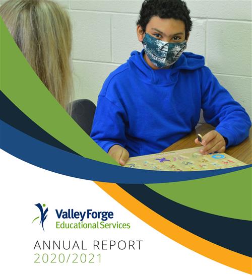 VFES Annual Report